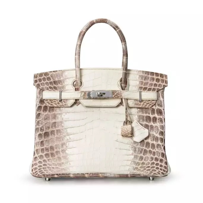 Hermes Vs Klijentkinje Torba Birkin1