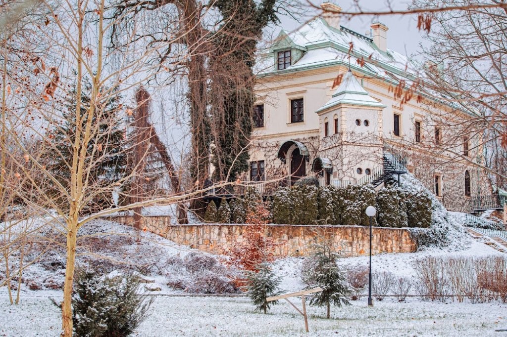 Дворац Одровонж зими