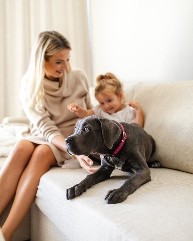 Пас у хотелу Linea Mare