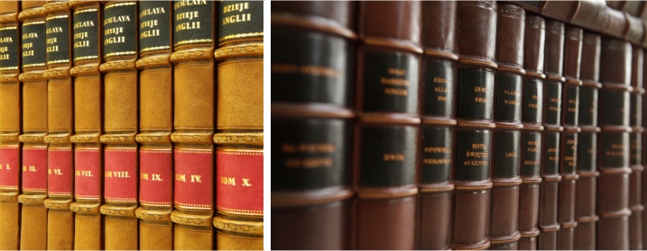 Сегрегатор од коже