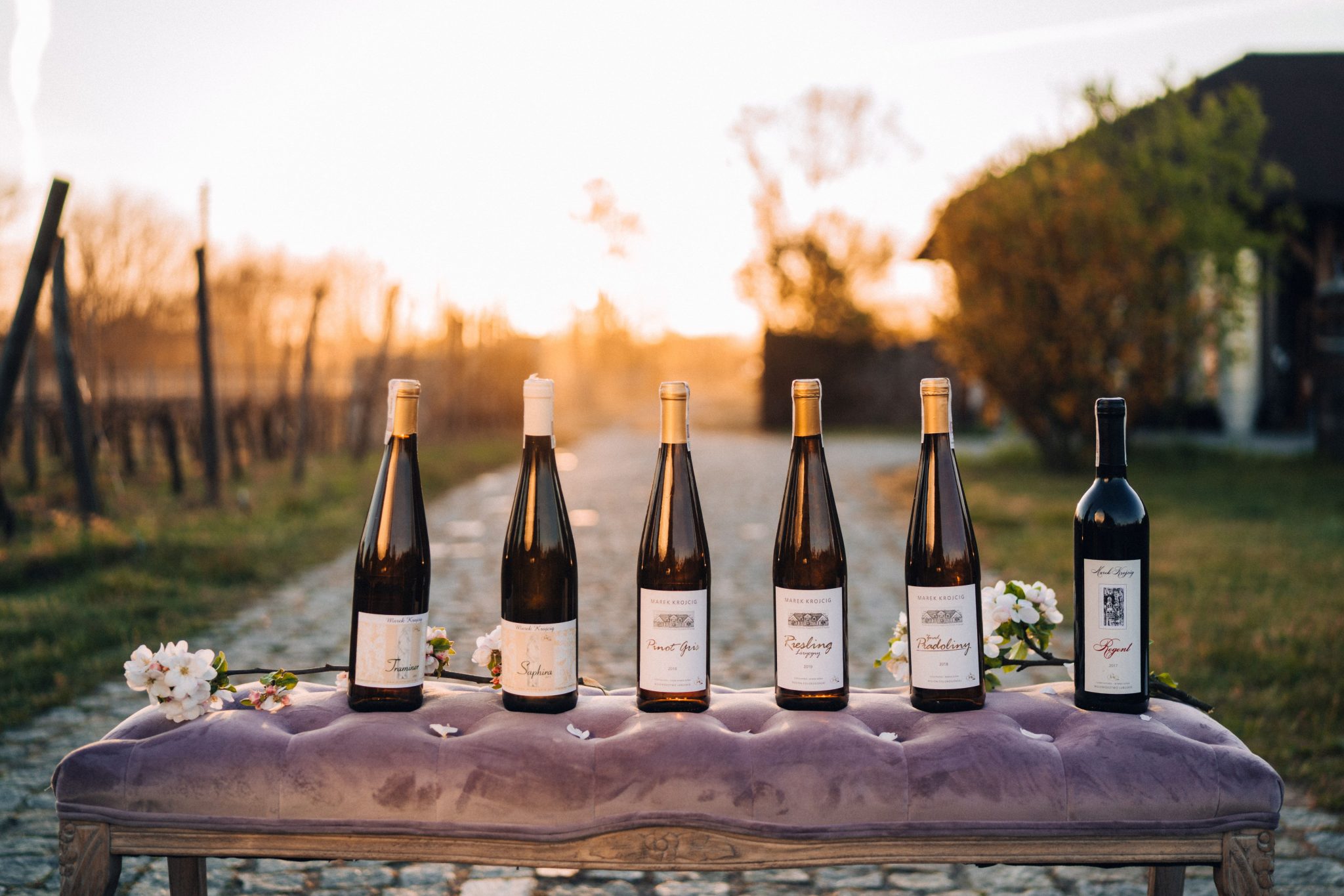 Виногради у Зеленој Гори