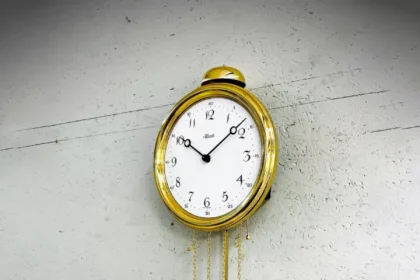 Najbolje Marke Zidnikh Satova12