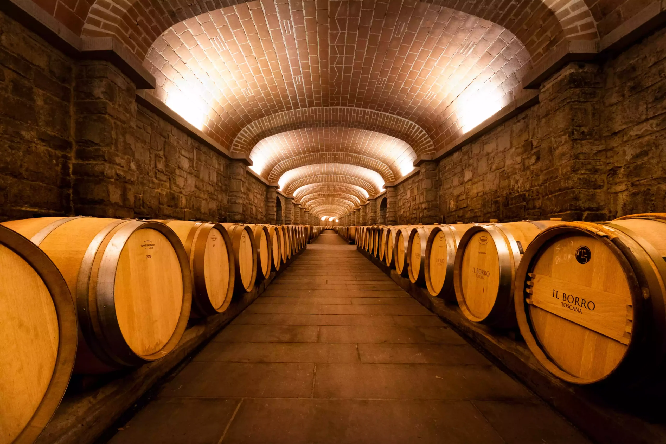 Виногради у Тоскани Блог