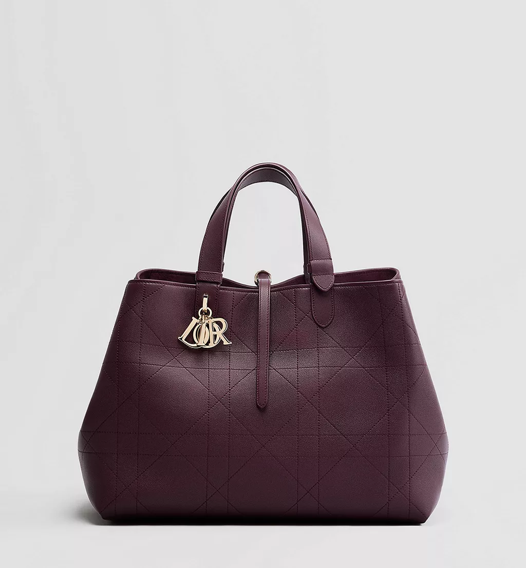 Бургундска торба Dior1